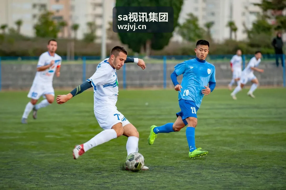 sa视讯集团 远程协同与生产可视方案